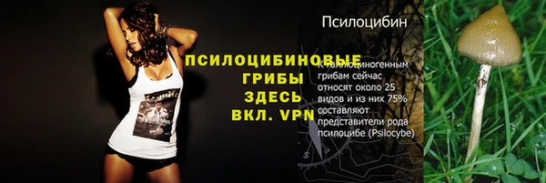 синтетический гашиш Верхний Тагил