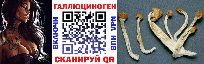 Галлюциногенные грибы MAGIC MUSHROOMS  Десногорск 